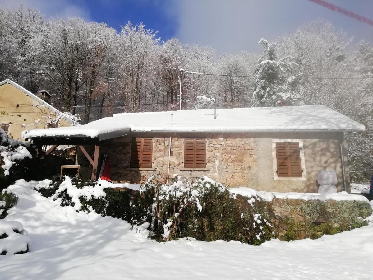 Gite Rural Les Maires D'Avaux Saint-Bresson Bagian luar foto