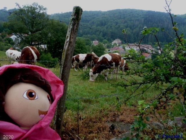 Gite Rural Les Maires D'Avaux Saint-Bresson Bagian luar foto