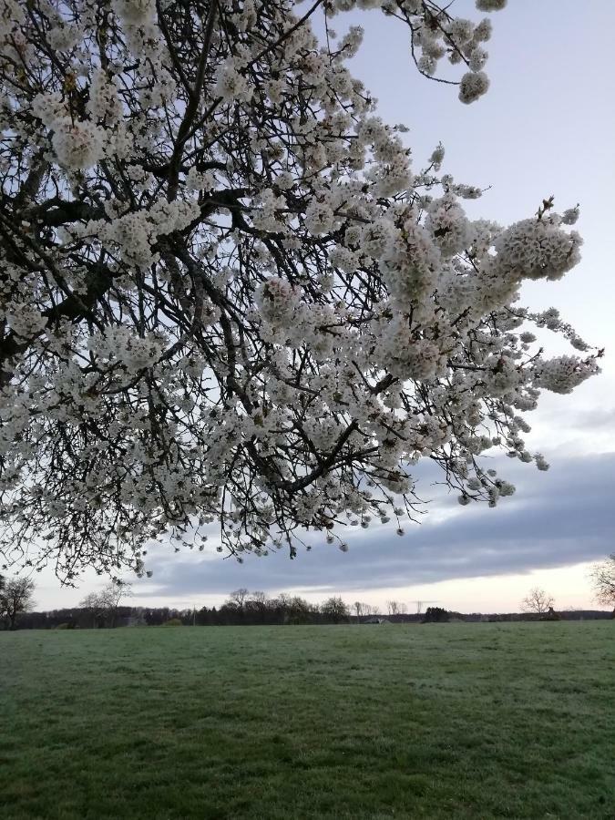 Gite Rural Les Maires D'Avaux Saint-Bresson Bagian luar foto